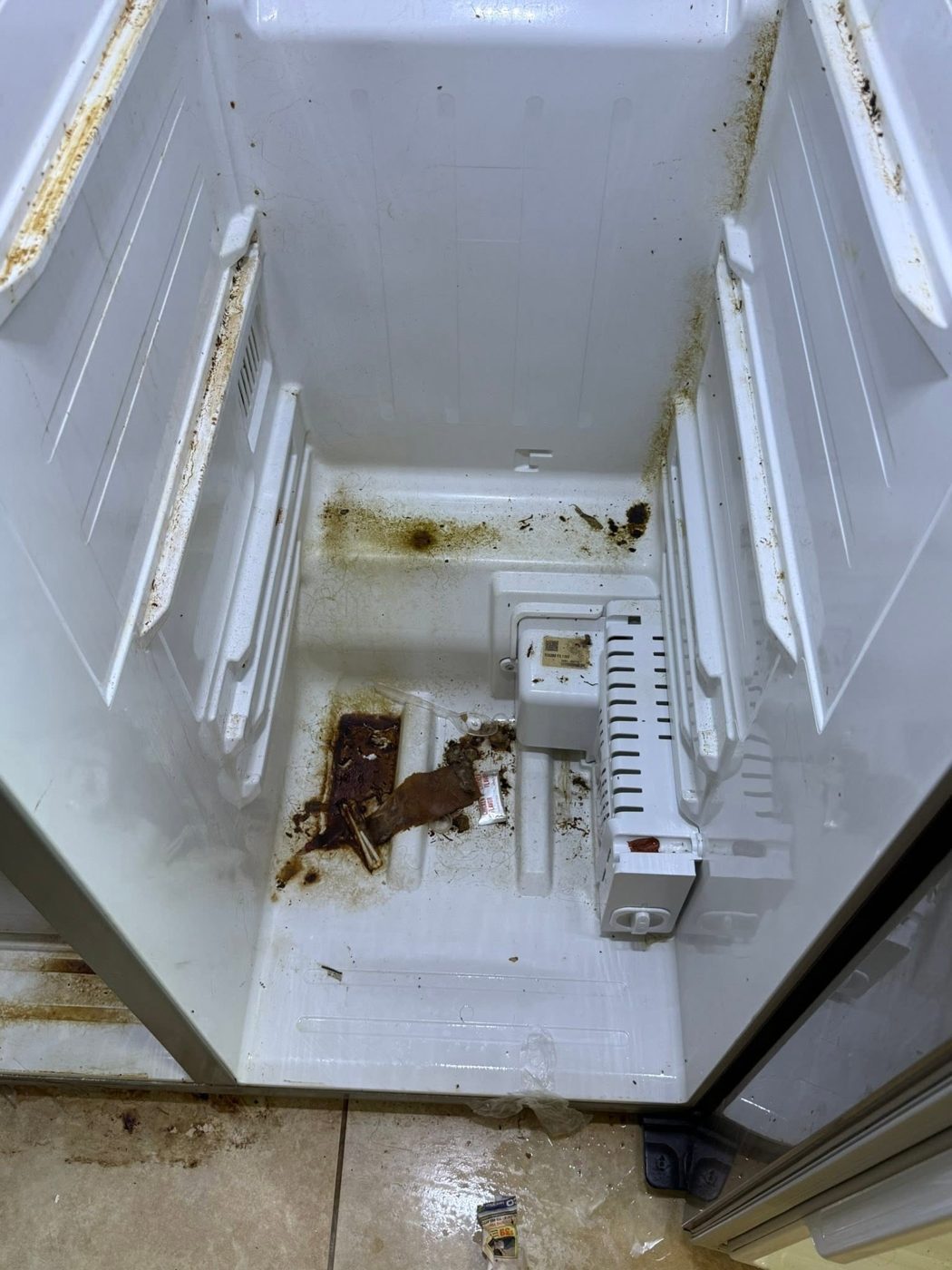 Freezer before cleaning — heavy stains and buildup