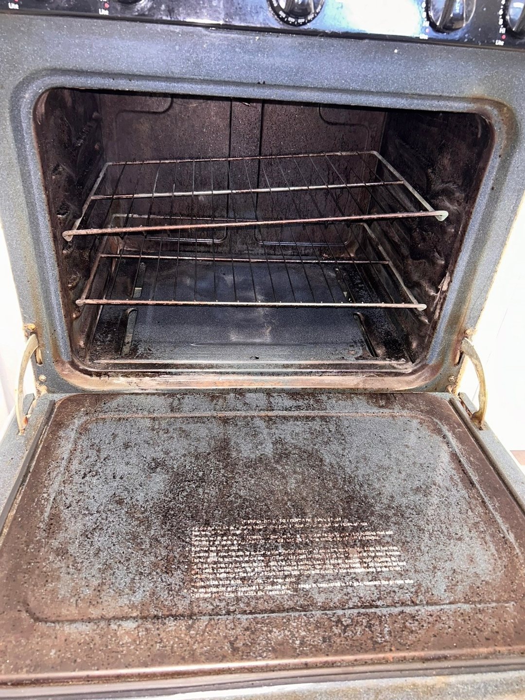 Oven before cleaning — baked-on grease and grime