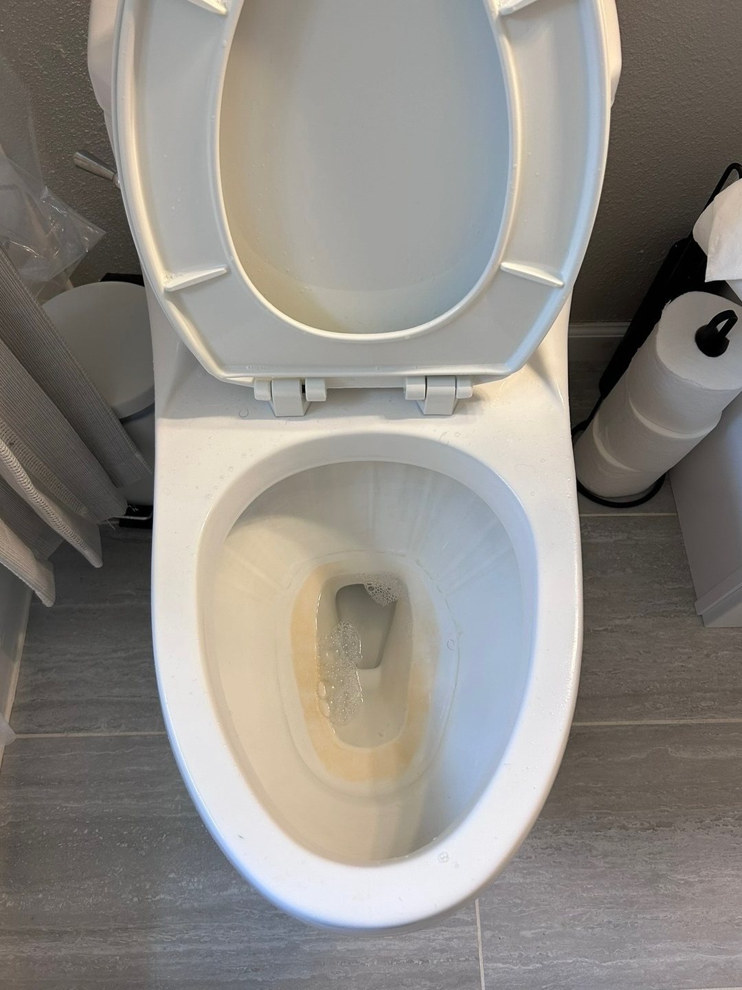 Toilet before cleaning — stained bowl